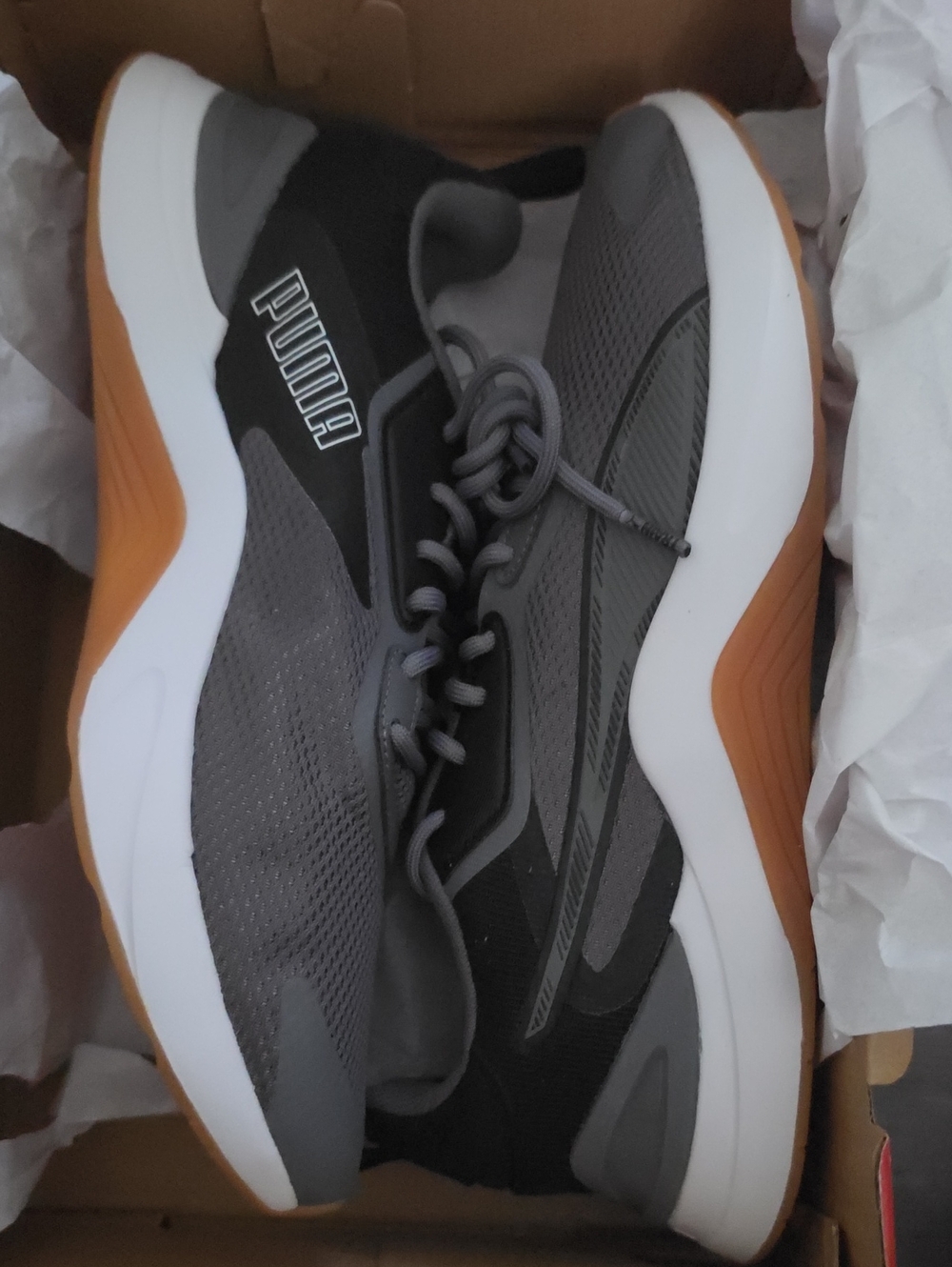 Puma Infusion